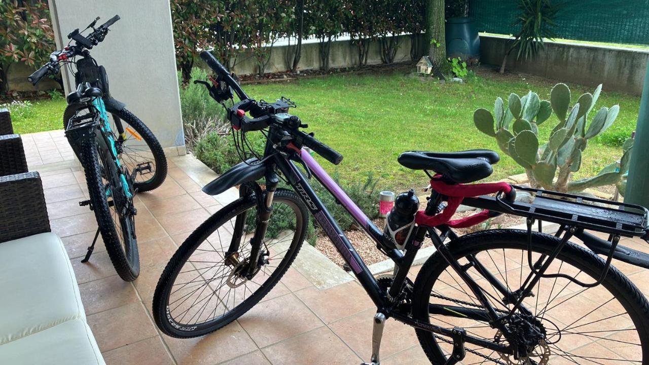 אודינה Nest Eco Guesthouse מראה חיצוני תמונה